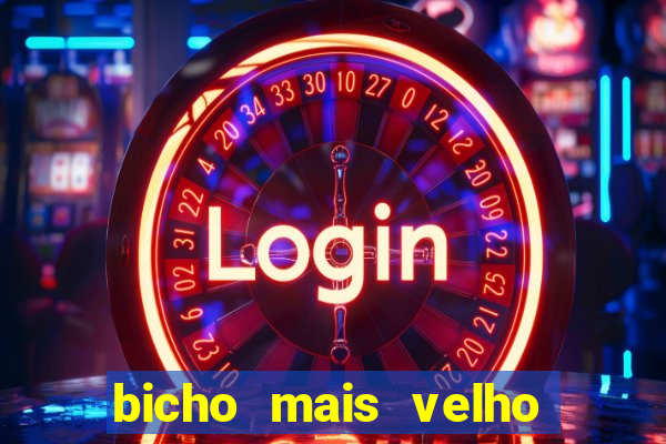 bicho mais velho da loteria dos sonhos